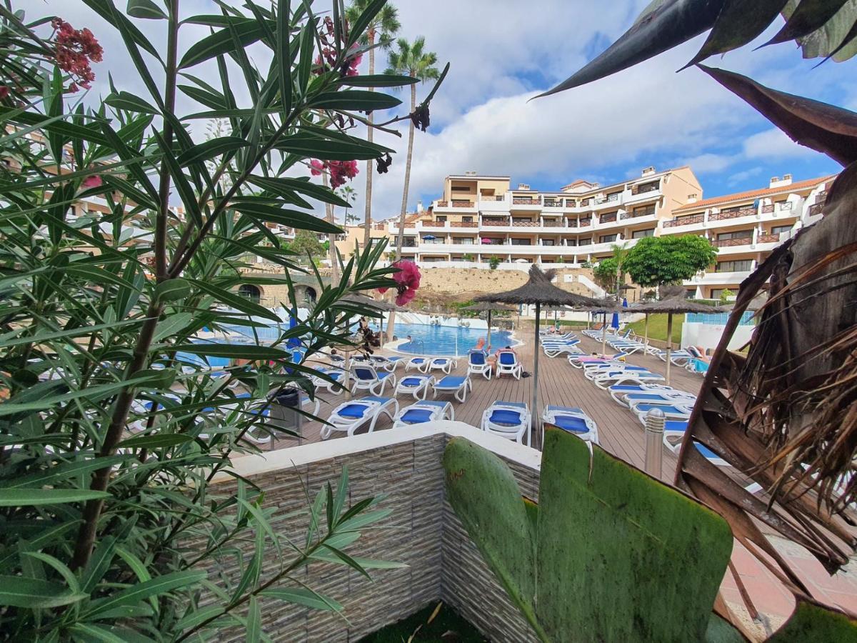Brand New Apartment In Park Albatros With Pool View Σαν Μιγκέλ ντε Αμπόνα Εξωτερικό φωτογραφία